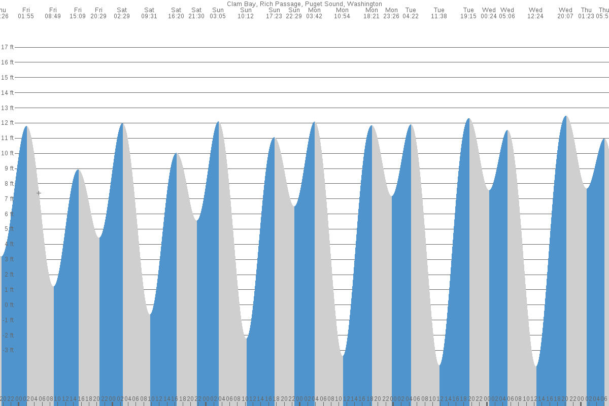 Manchester tide chart